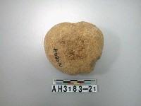 藏品(大砝碼型石網墜)的圖片